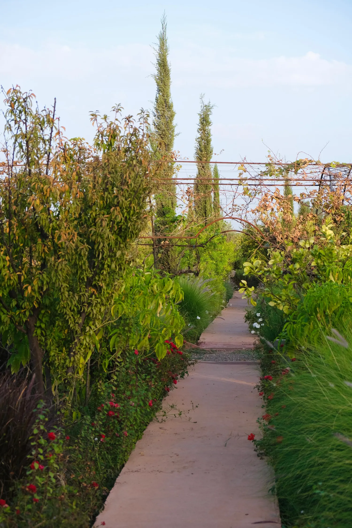 The organic gardens at Daba Village, where much of the kitchen's produce is grown, framed by arched riad windows